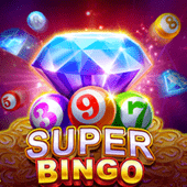 Super Bingo jil29 game